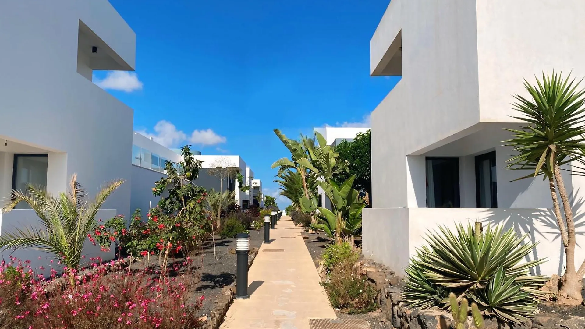 Fuerte Calma Luxury Apartment Fuerteventura La Oliva