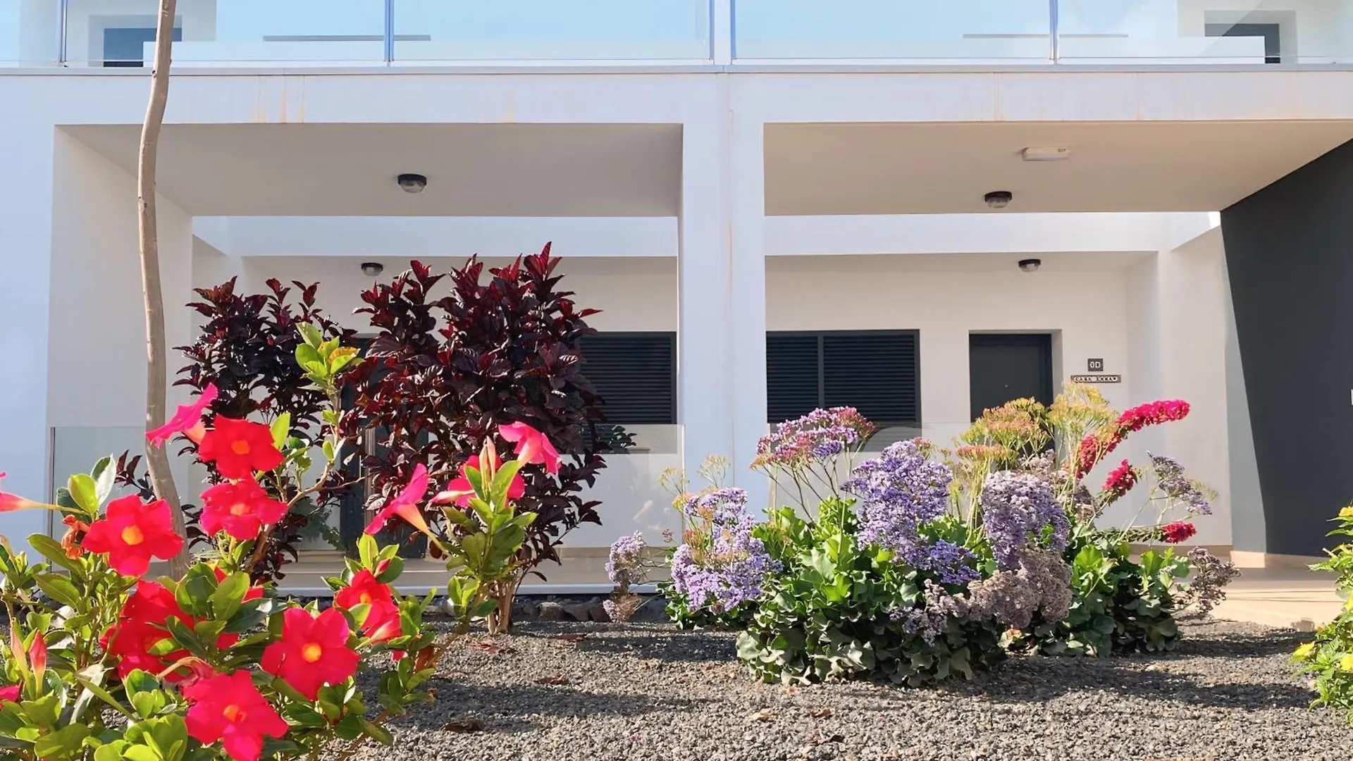 Fuerte Calma Luxury Apartment Fuerteventura La Oliva Spain